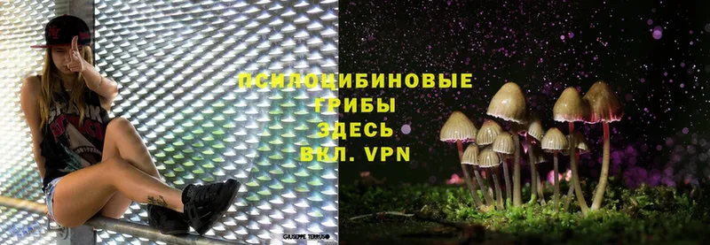 Псилоцибиновые грибы MAGIC MUSHROOMS  цены   Барыш 